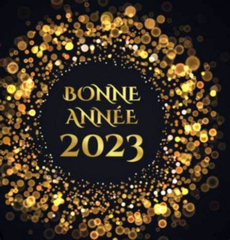 Toute l'équipe des Cygnes se joint à nous pour vous souhaitez une bonne année  ! Santé et prospérité pour 2023, merci pour votre fidélité 